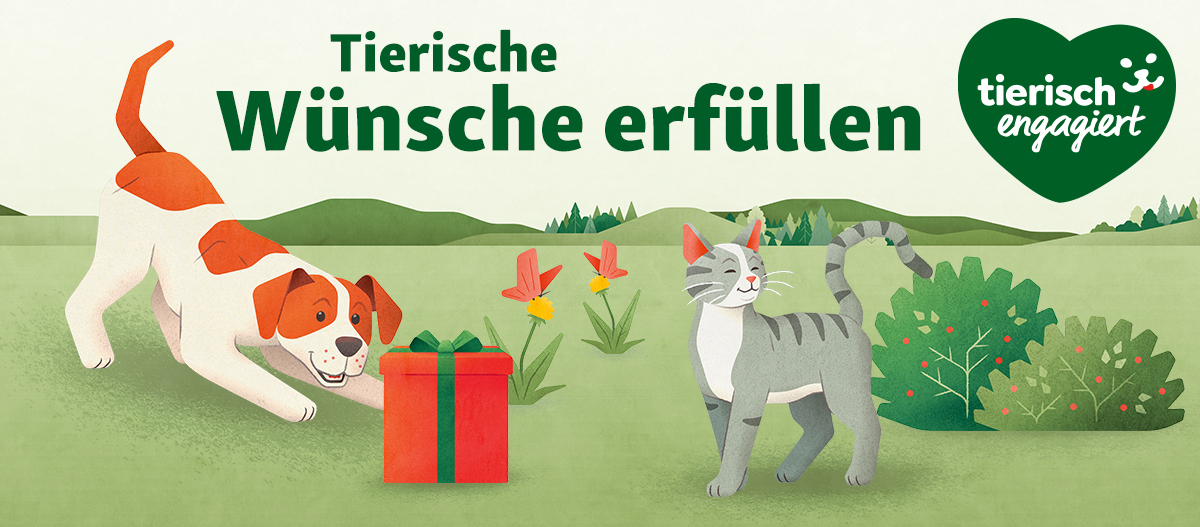 Illustration eines spielenden Hundes und einer zufriedenen Katze im Grünen mit Geschenkbox, Text 
