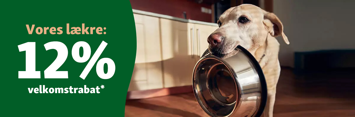 nyhedsbrev velkomstrabat 12%