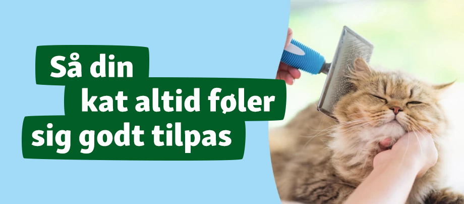 DK_KE_Dog_Cat_Visual_DK_KE_Cat_920 x 404 VET kat banner