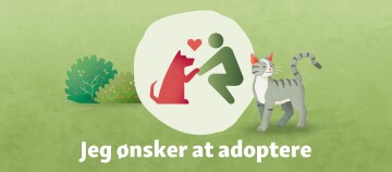 adoption af kæledyr - DK