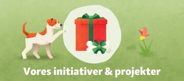 Initiativer og projekter - DK CSR