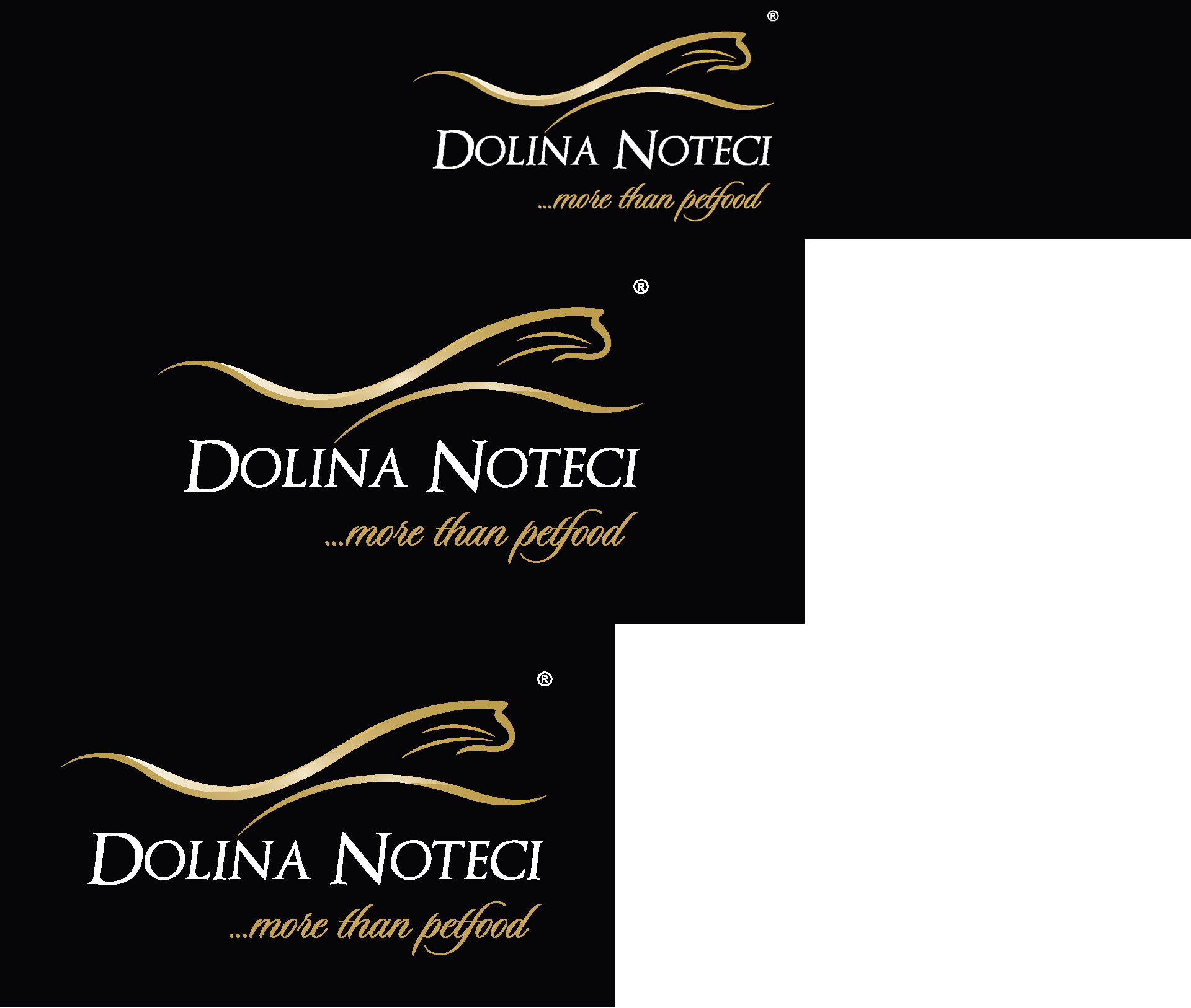 Dolina Noteci