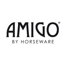 amigo (1)