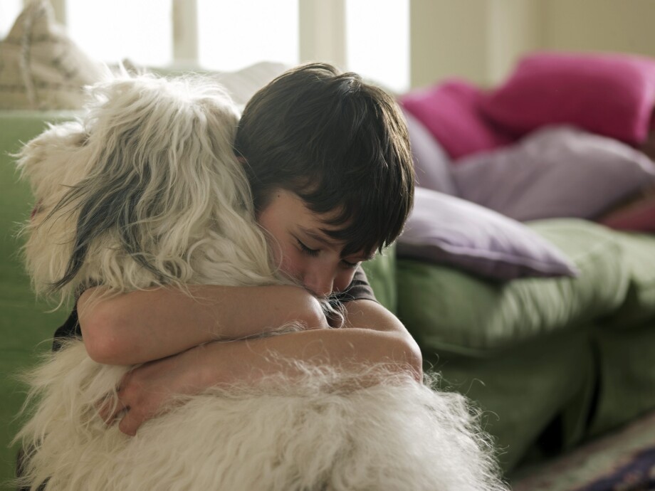 Animal et enfants Animal et enfants