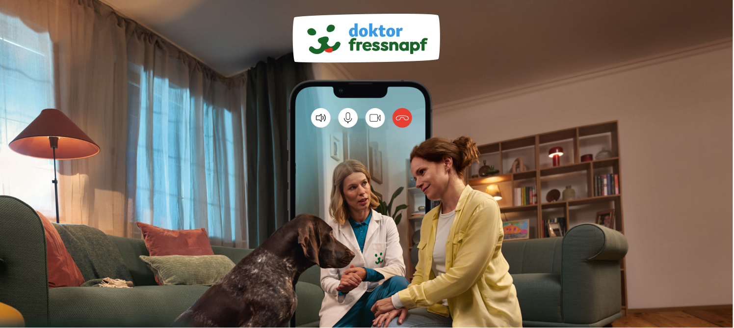 img_service_dr_fressnapf_dog_dach
