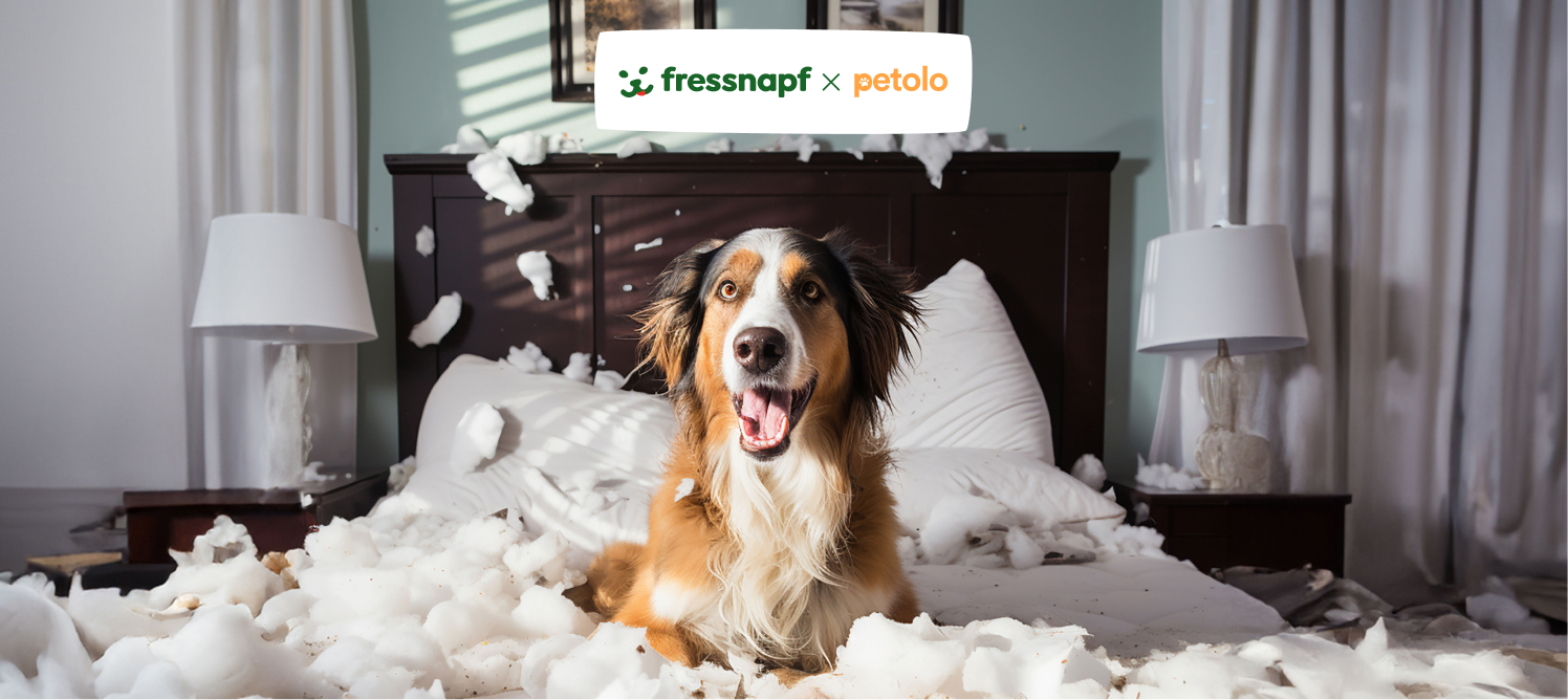 Glücklicher Hund sitzt auf einem Bett voller zerrissenem Kissenfüllmaterial, Chaos im Schlafzimmer, fressnapf x petolo Partnerschaft