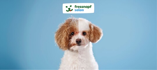 Vorher-Nachher-Bild eines Hundes mit ungepflegtem und gepflegtem Fell, Fressnapf Salon Logo, professionelle Hundepflege