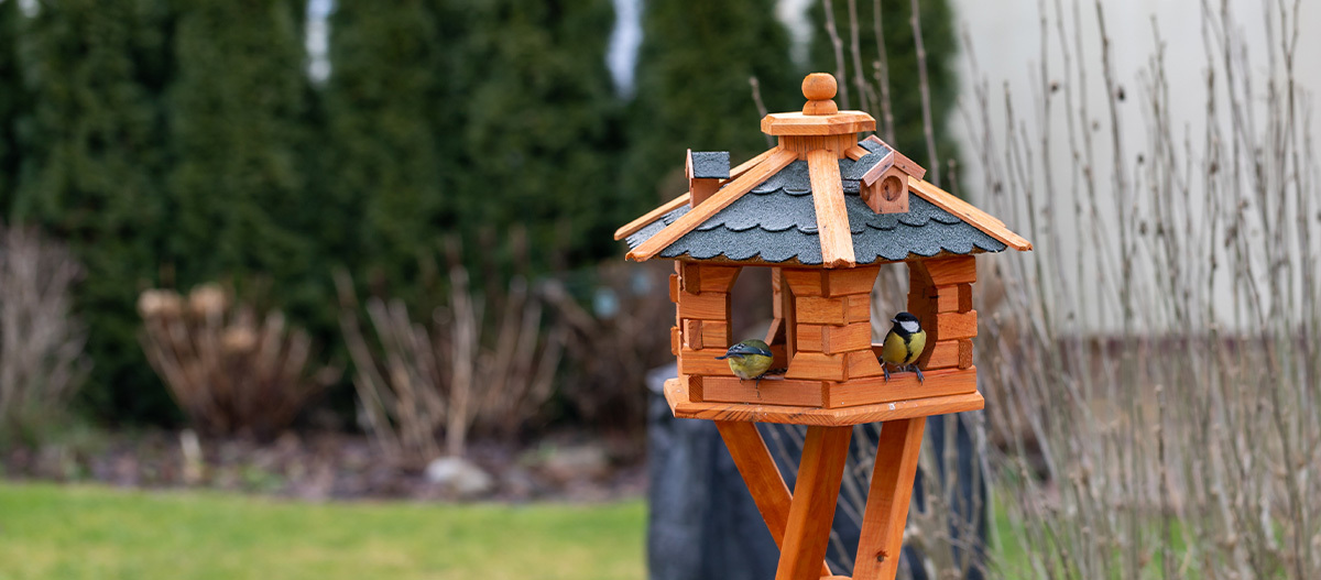 Zwei Vögel sitzen in einem Vogelhaus