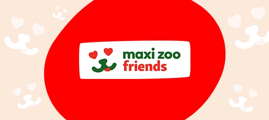 maxi zoo friends