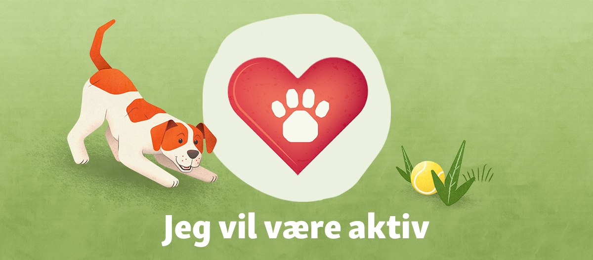 jeg vil være aktiv - CSR