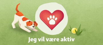 jeg vil være aktiv - CSR