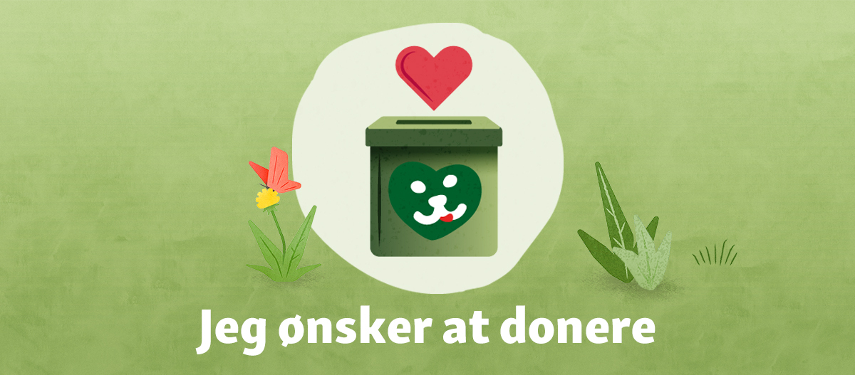 DK_KW17_CSR-Teaser_Spenden Fullsize 1200 x 527 donation - DK