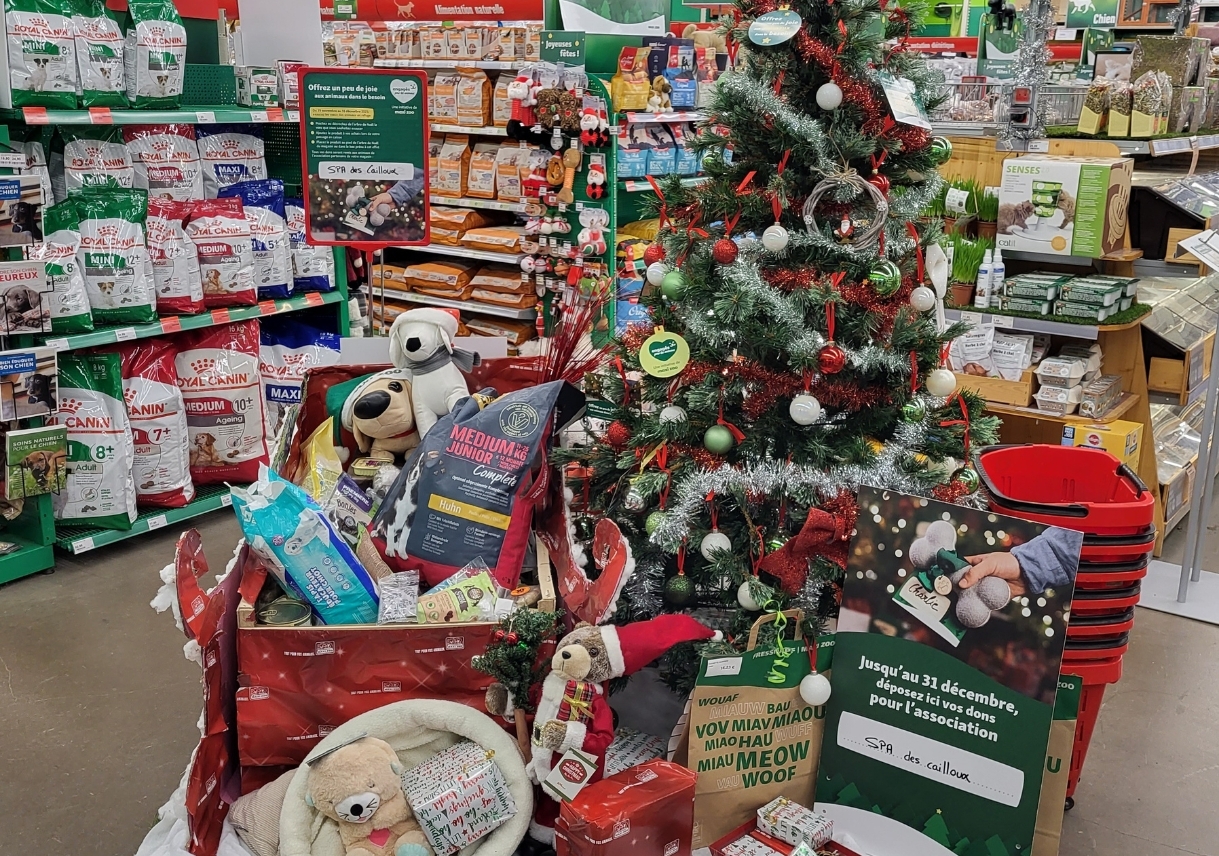 Décoration de Noël avec sapin, nourriture pour chiens Royal Canin et peluches dans un magasin pour animaux, collecte de dons pour SPA des Cailloux.