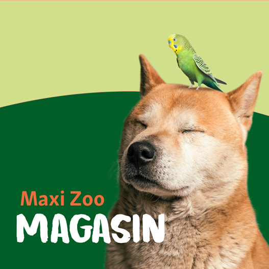 Maxi Zoo Magasin DK