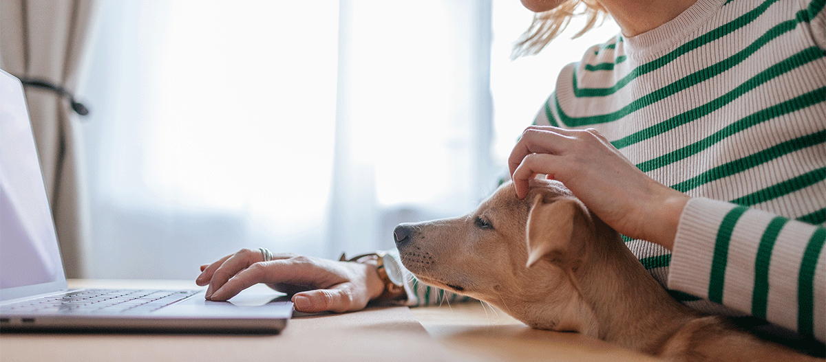 Frau mit Hund auf dem Schoss Homeoffice