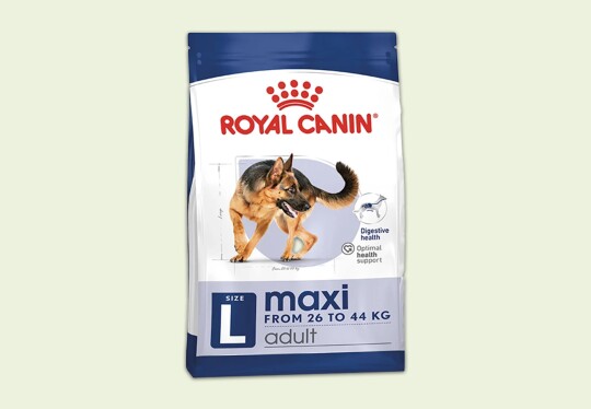 Nourriture pour chiens Royal Canin Maxi taille adulte de 26 à 44 kg avec soutien de la santé digestive