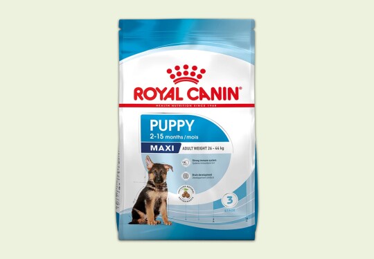 Croquettes Royal Canin Maxi pour chiots de grandes races 2-15 mois avec soutien du système immunitaire et développement cérébral