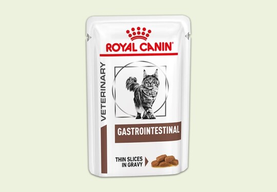Nourriture pour chat Royal Canin Veterinary Gastrointestinal en fines tranches en sauce pour digestion sensible