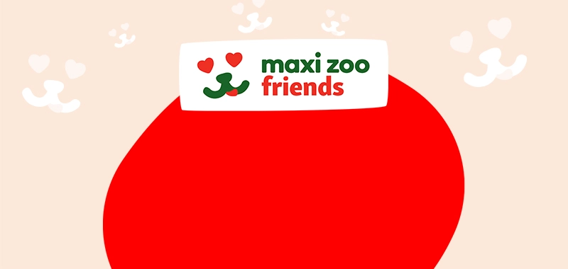 Maxi Zoo Friends logo with red oval and hearts on beige background, symbolizing pet love and friendship