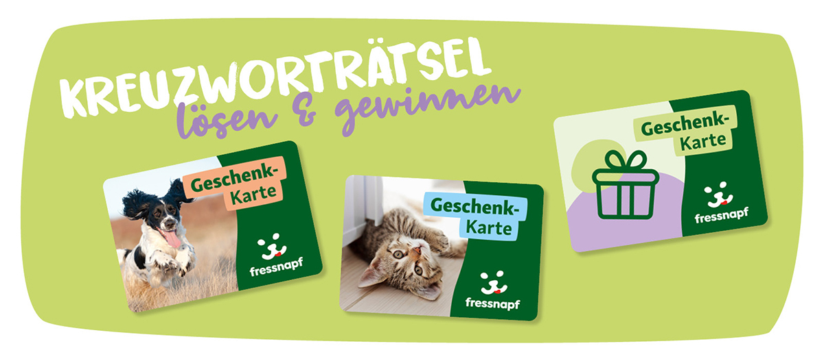 2024_DE_Geschenkkarten_Teaser_1200x527px2 Kreuzworträtsel gewinnen mit Fressnapf Geschenk-Karten – Hund, Katze und Geschenk-Symbol auf grünen Karten vor hellem Hintergrund