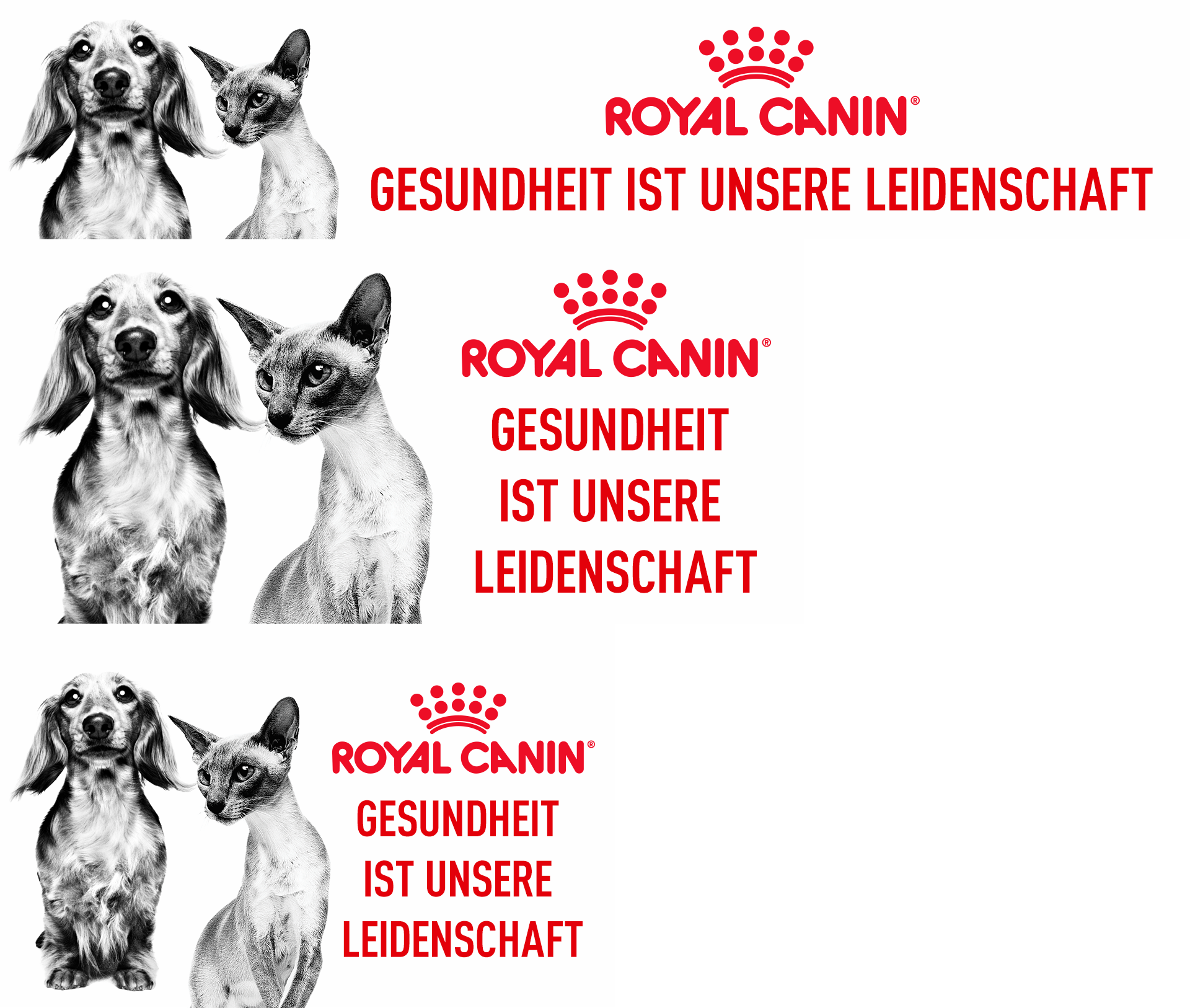 Royal-Canin