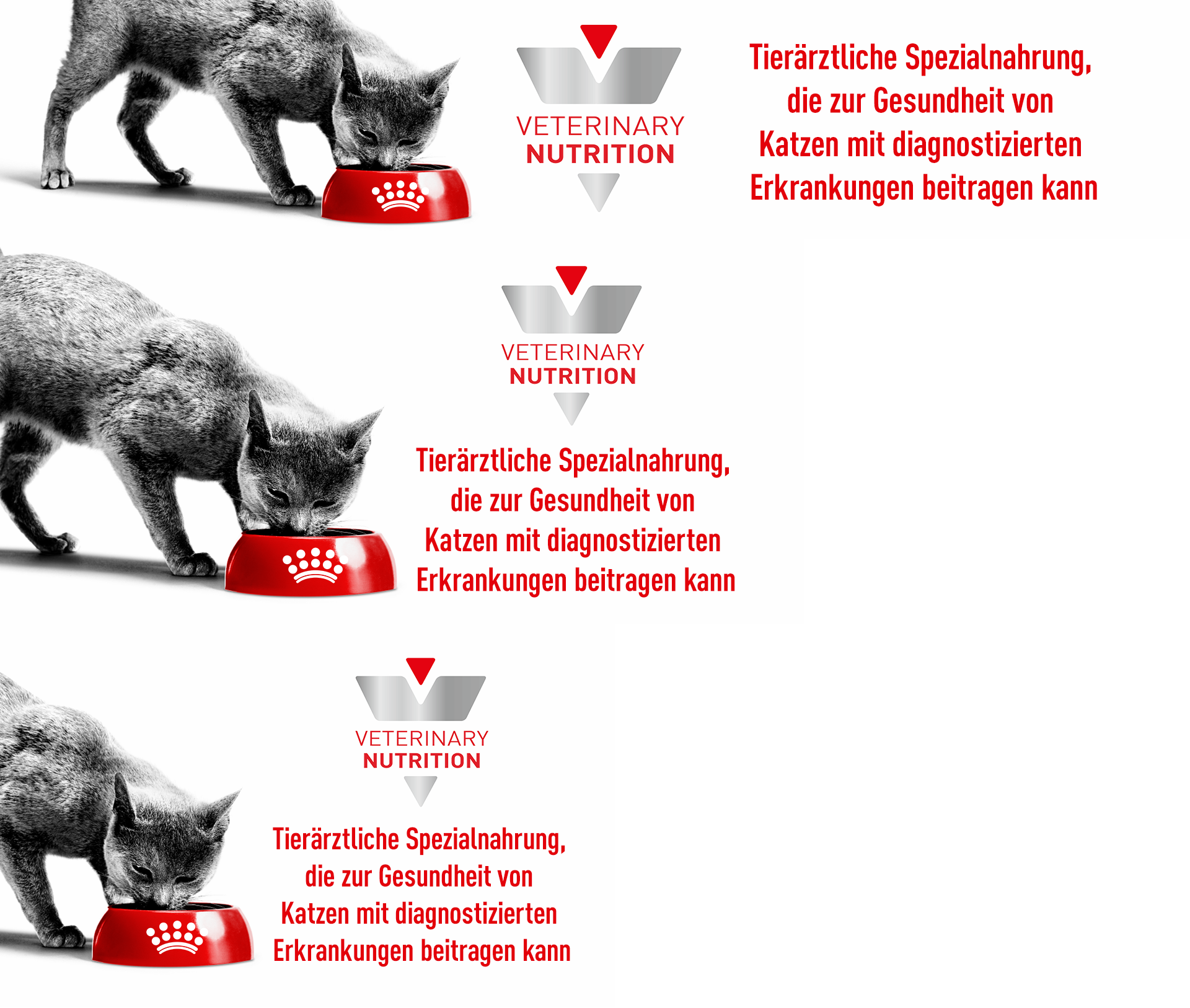 Royal Canin