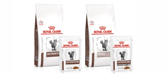 Royal Canin veterinär Katzenfutter Gastrointestinal und Hepatic für Verdauungs- und Lebergesundheit