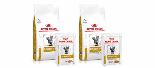 Royal Canin Veterinary Nutrition Katzenfutter Urinary S/O Trocken- und Nassfutter für Harnwegsgesundheit, inklusive Moderate-Calorie-Variante