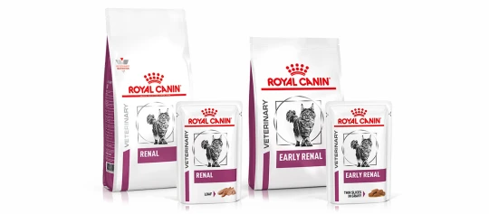 Royal Canin veterinärmedizinisches Katzenfutter für Nierenerkrankungen, Packungen mit Renal- und Early Renal-Sorten
