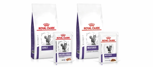 Royal Canin Katzenfutter Expert- und Veterinary-Verpackungen für ausgewachsene und kastrierte Katzen, inklusive Mature Consult und Neutered Balance Sorten.