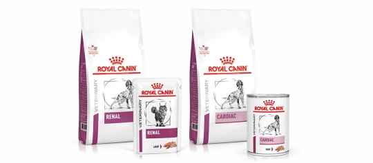 Royal Canin Veterinärfutter für Hunde und Katzen, Nieren- und Herzgesundheit, Trocken- und Nassfutter