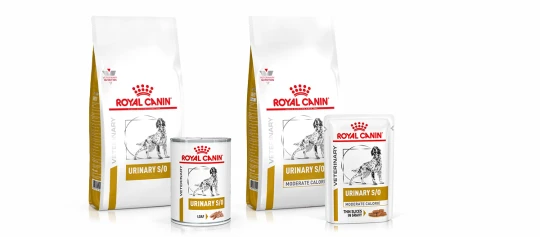 Royal Canin Veterinary Diet Urinary S/O Hundefutter in Trocken- und Nassfuttervarianten zur Unterstützung der Harnwegsgesundheit