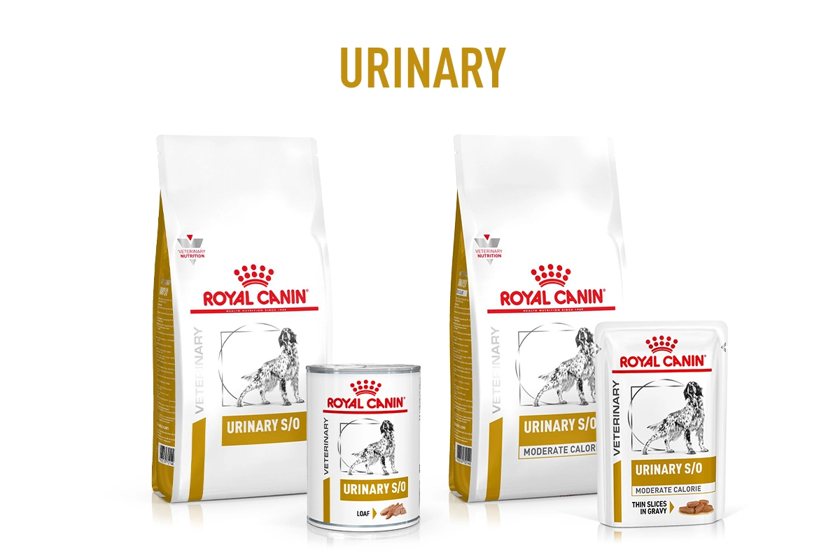 Nourriture gamme Royal Canin Vet urinary