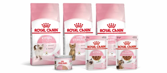 Royal Canin Katzenfutter für Kätzchen und Mutterkatzen, Trocken- und Nassfutter in rosa-weißer Verpackung