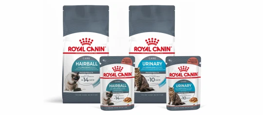 Royal Canin