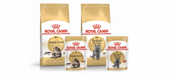 Royal Canin