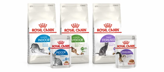 Royal Canin Katzenfutter Auswahl mit Trocken- und Nassfutter für Indoor-, Outdoor- und sterilisierte Katzen