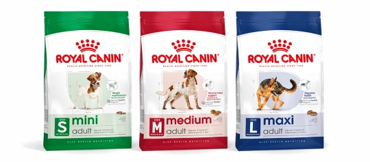 Royal Canin Hundefutter für erwachsene Hunde in drei Größen: Mini (bis 10 kg) für Gewichtserhaltung, Medium (11-25 kg) für Muskelaufbau, Maxi (26-40 kg) für Verdauungsgesundheit.