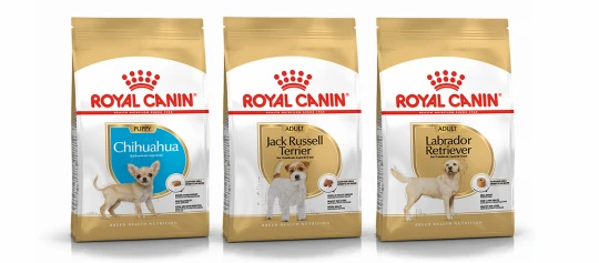 Royal Canin Hundefutter für Chihuahua-Welpen, erwachsene Jack Russell Terrier und Labrador Retriever in speziellen Verpackungen.