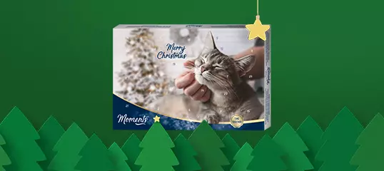 Adventskalender für Hund und Katze