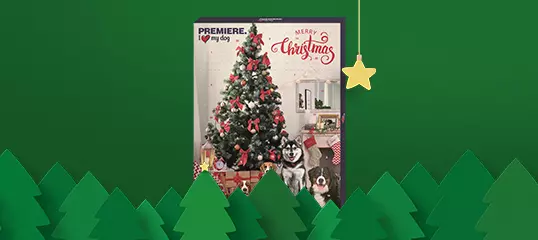 Adventskalender für Hund und Katze