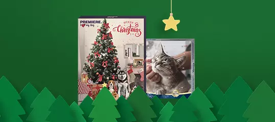 Adventskalender für Hund und Katze