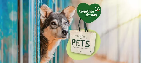 Together for pets bag dog