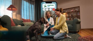 Femme et chien recevant une consultation vétérinaire en ligne avec Maxi Zoo Vet dans un salon confortable
