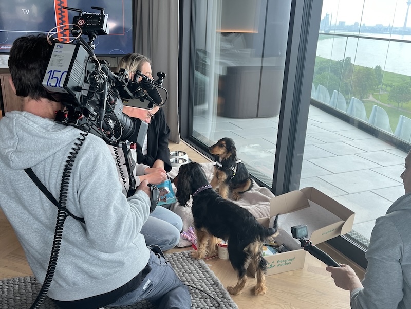 Filmteam filmt zwei Frauen, die mit zwei Hunden in einer modernen Wohnung mit großer Glasfront und Blick auf Park und Wasser interagieren.