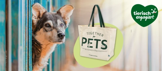 Nahaufnahme eines Hundes hinter blauen Gitterstäben neben einer umweltfreundlichen Tragetasche mit der Aufschrift „Together for Pets“ und dem Logo „tierisch engagiert“.