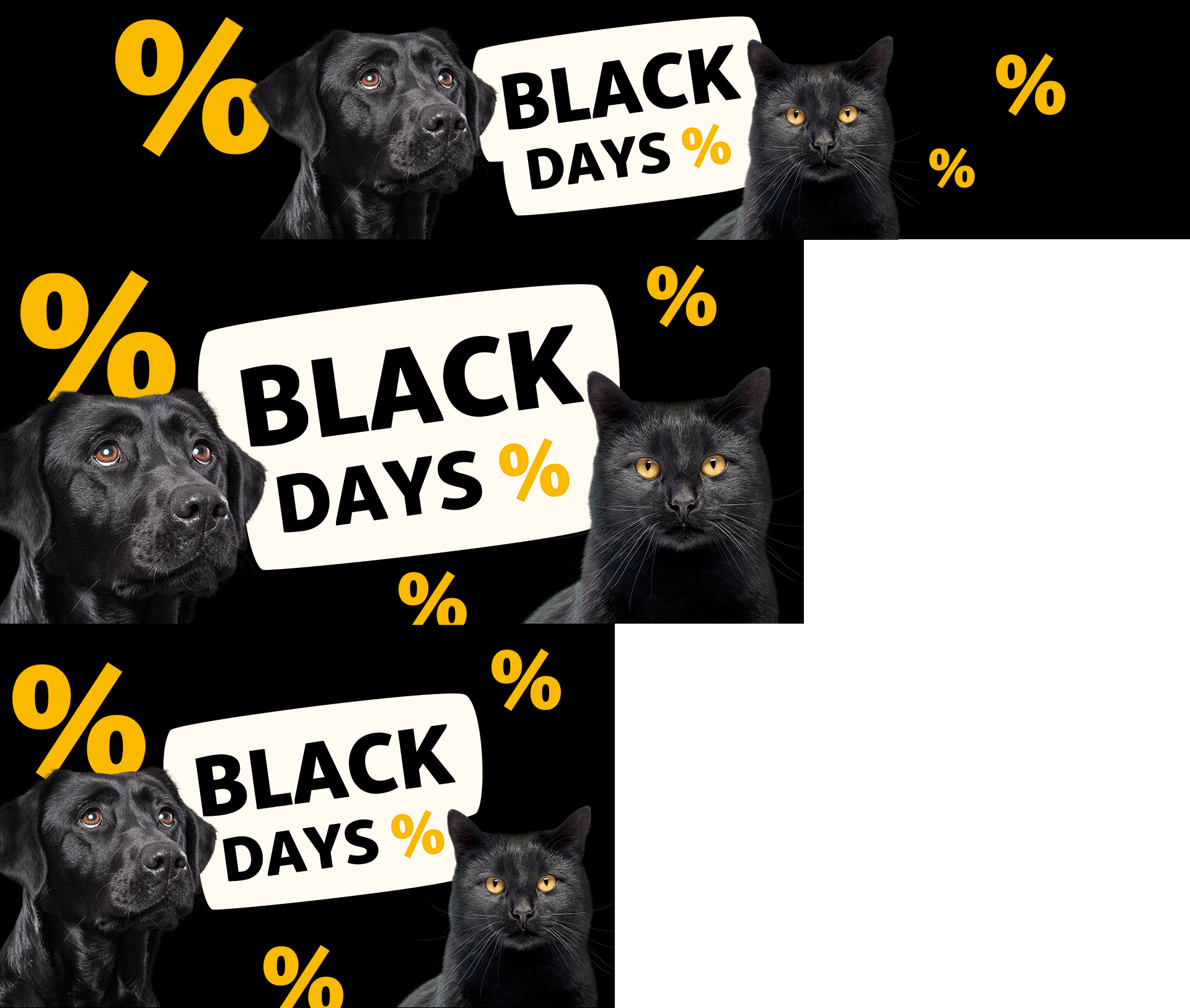 Black Days Sale