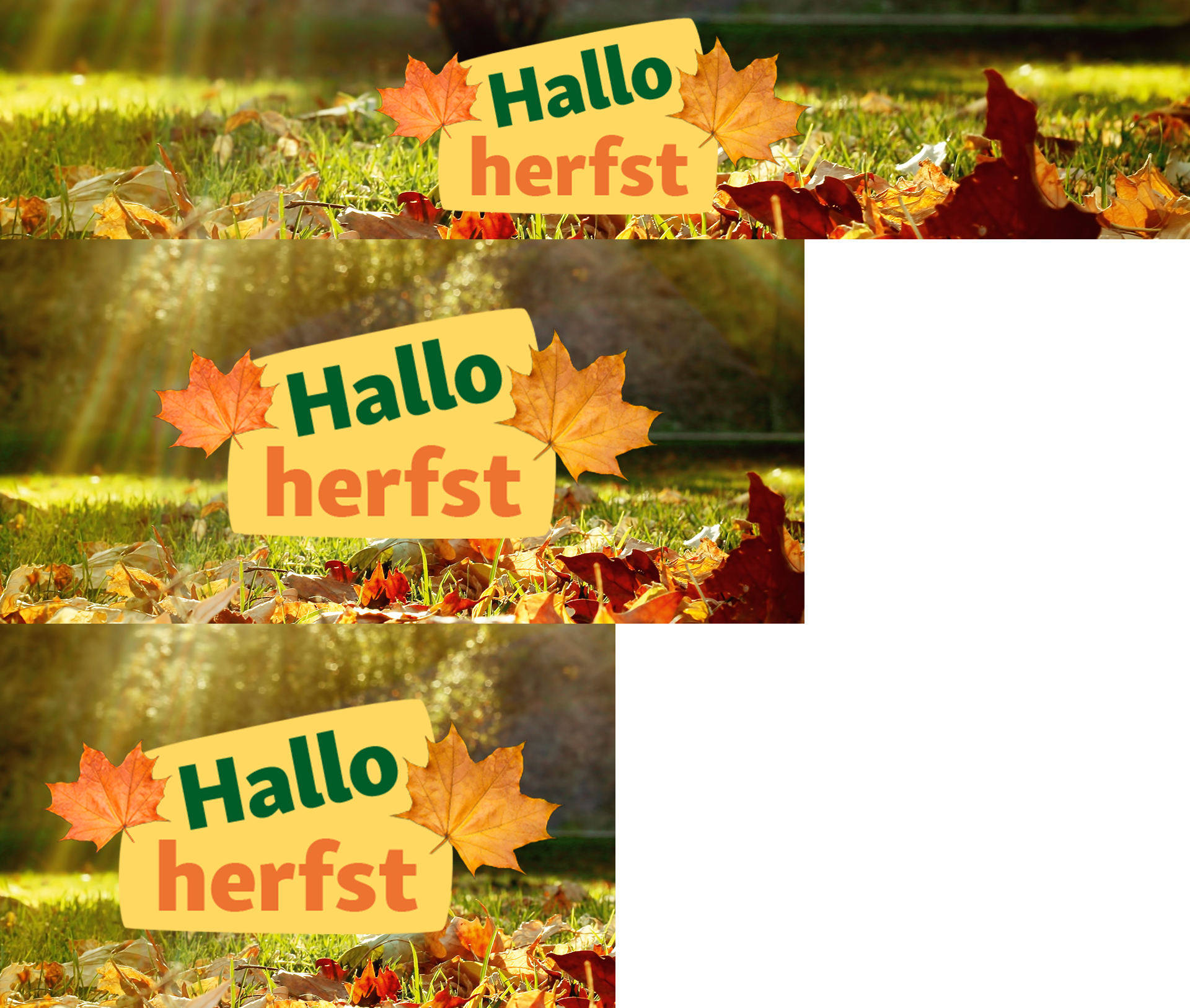 Hallo Herbst