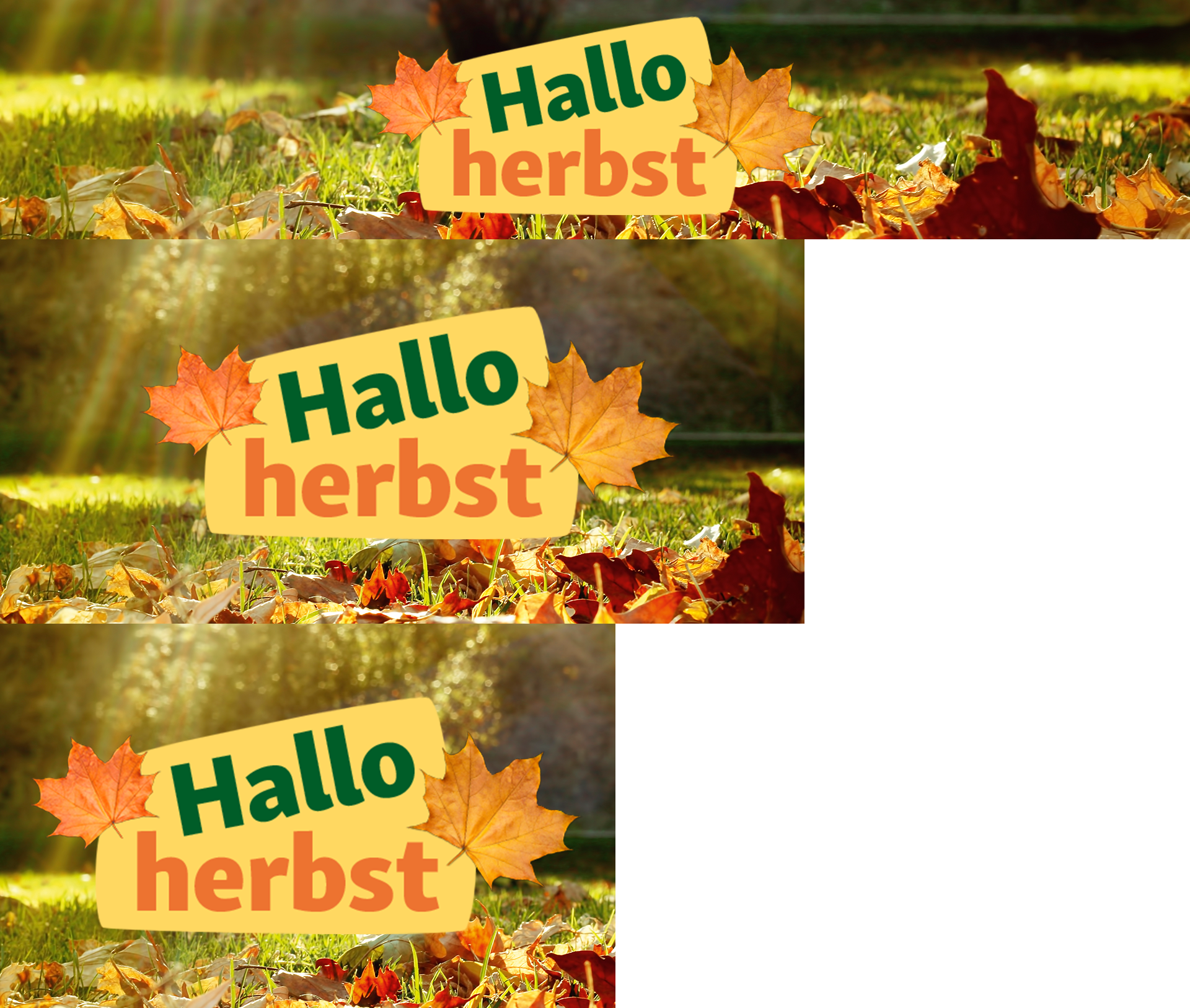 Hallo Herbst