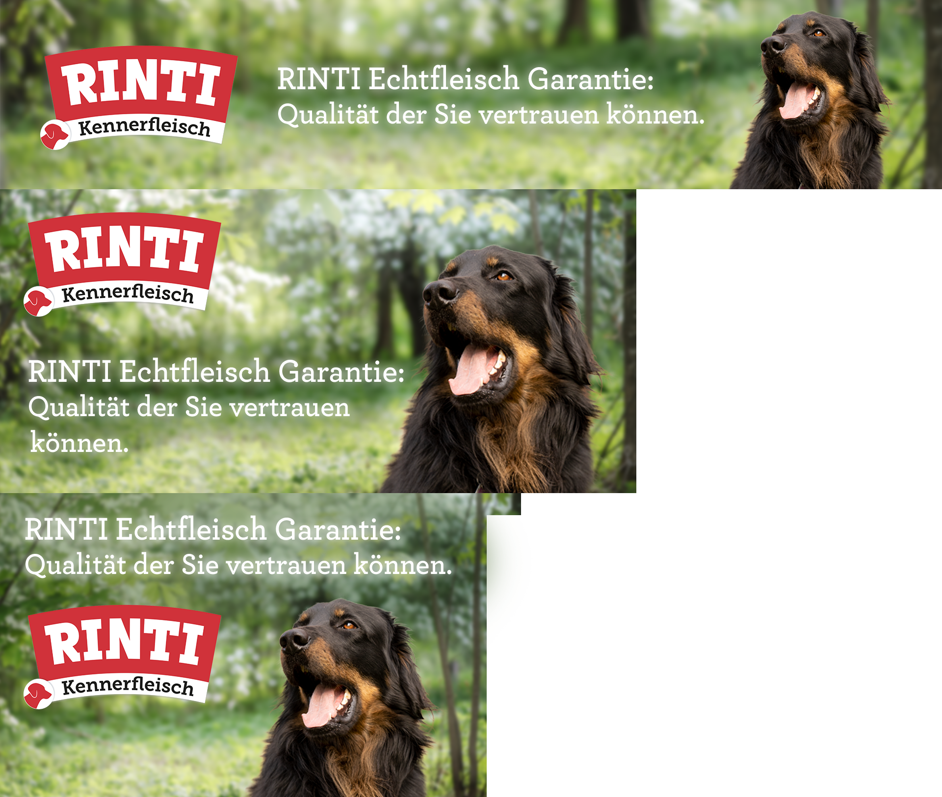 Rinti